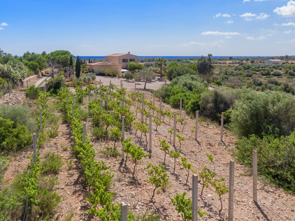 5 soveværelse Finca/Landehus til salg i Cala Murada med swimmingpool garage - € 3.890.000 (Ref: 8599351)