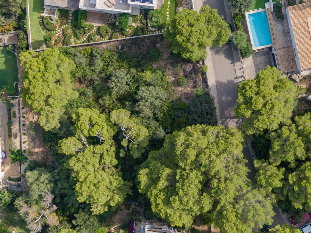 Działka budowlana na sprzedaż w Pollensa / Pollenca - 1 500 000 € (Ref: 8603550)