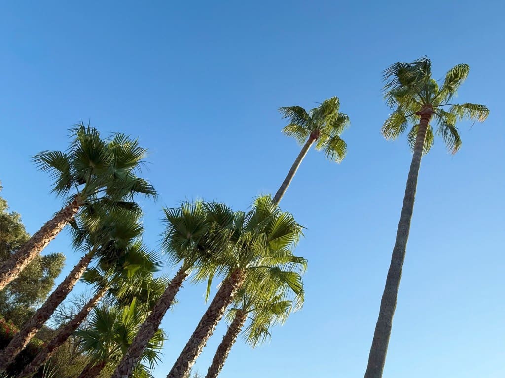 3 quarto Quinta/Casa Rural para venda em Pollensa / Pollenca com piscina garagem - 1 950 000 € (Ref: 8721806)