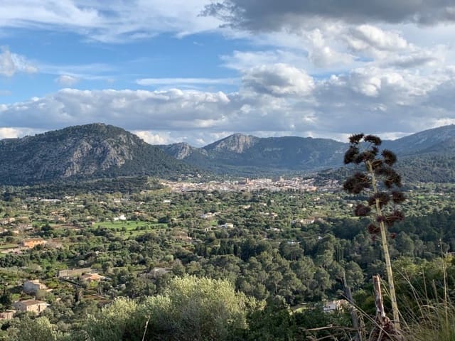 Byggetomt til salgs i Pollensa / Pollença - € 399 000 (Ref: 8727351)