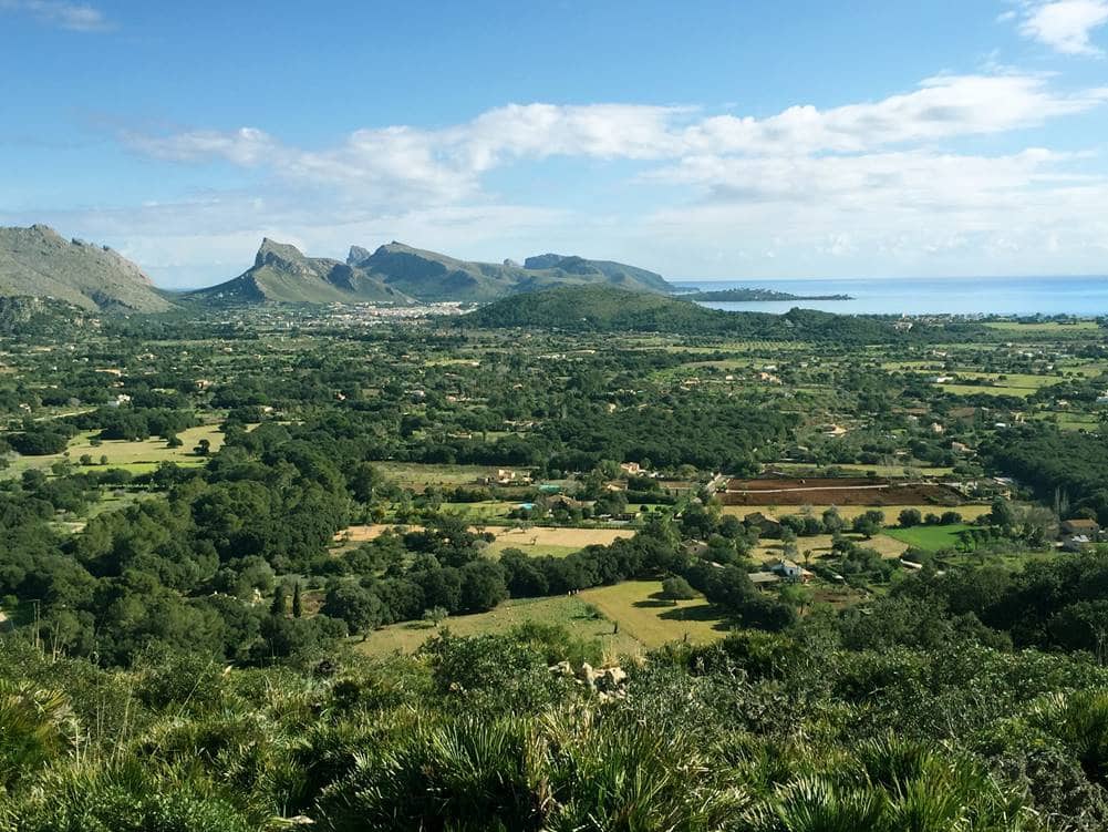 Byggegrund til salg i Pollensa / Pollenca - € 1.490.000 (Ref: 8734168)