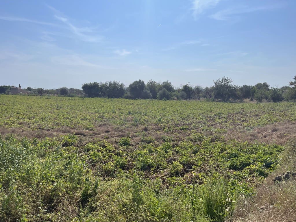 Byggegrund til salg i Buger - € 520.000 (Ref: 8752116)