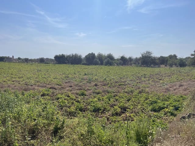 Solar/Parcela en Búger en venta - 520.000 € (Ref: 8752116)