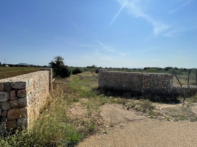 Solar/Parcela en Búger en venta - 520.000 € (Ref: 8752116)