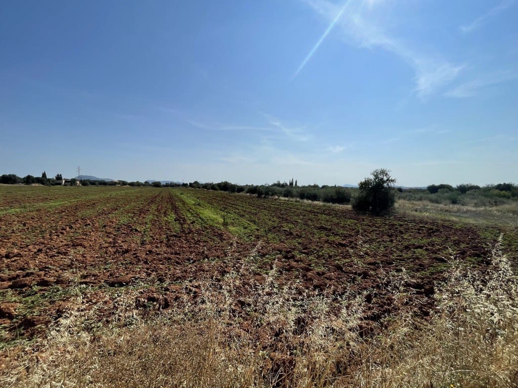 Byggegrund til salg i Buger - € 520.000 (Ref: 8752116)