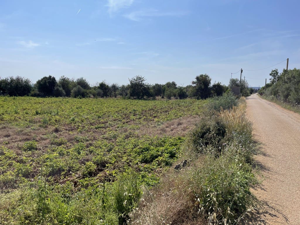 Byggegrund til salg i Buger - € 520.000 (Ref: 8752116)