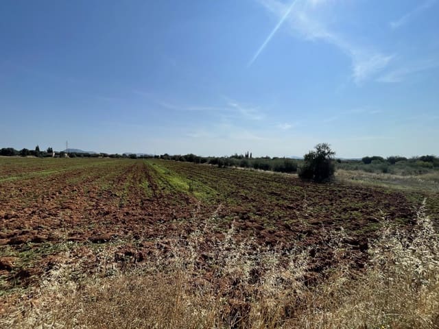 Solar/Parcela en Búger en venta - 520.000 € (Ref: 8752116)