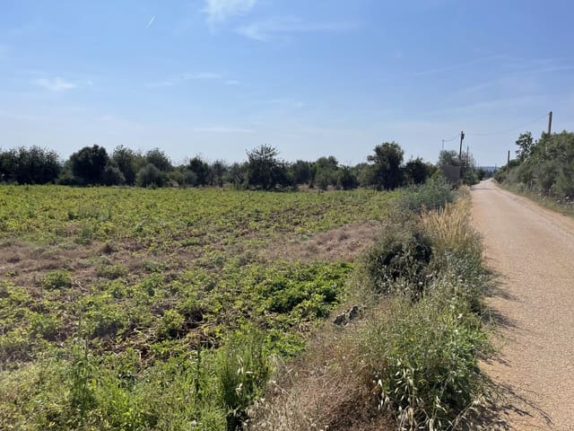 Solar/Parcela en Búger en venta - 520.000 € (Ref: 8752116)