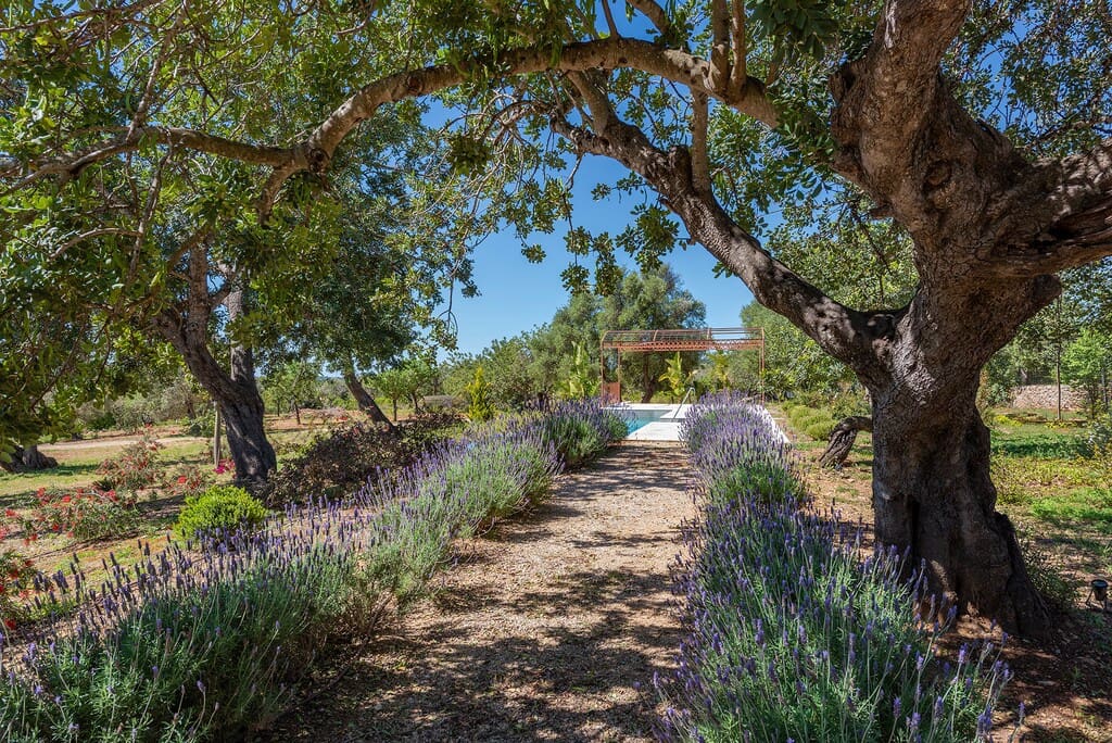 4 sypialnia Finka/Dom wiejski na sprzedaż w Alaro z basenem garażem - 4 900 000 € (Ref: 8777814)