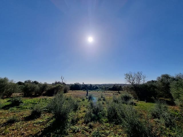 Building Plot for sale in Cas Concos, Felanitx - € 700,000 (Ref: 8781122)