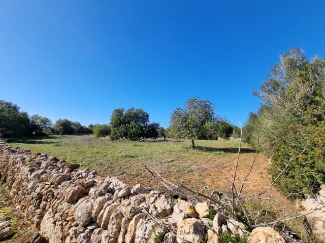 Building Plot for sale in Cas Concos, Felanitx - € 700,000 (Ref: 8781122)