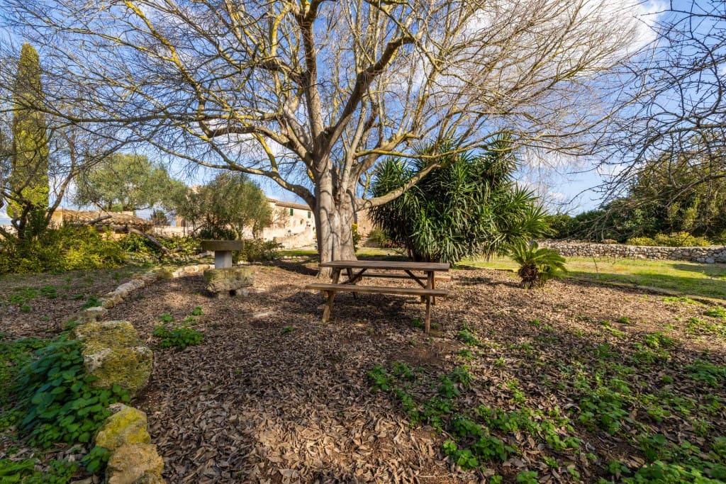 5 soveværelse Finca/Landehus til salg i Ariany med swimmingpool garage - € 1.900.000 (Ref: 8834150)