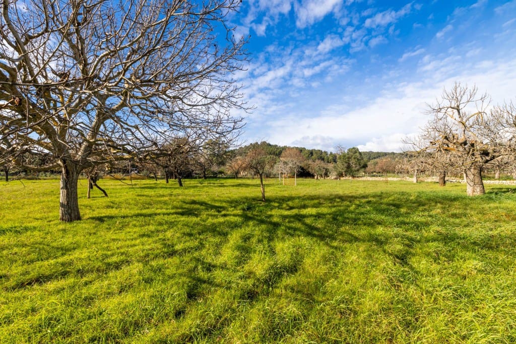 4 camera da letto Finca/Casa di Campagna in vendita in Selva con garage - 495.000 € (Rif: 8848919)