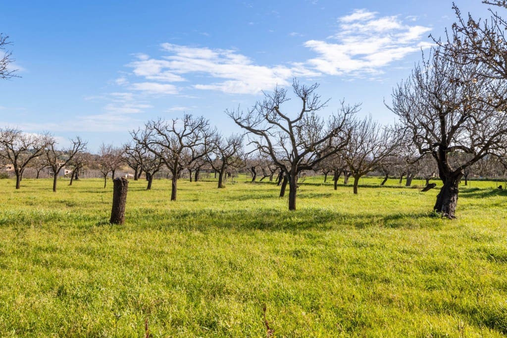 4 camera da letto Finca/Casa di Campagna in vendita in Selva con garage - 495.000 € (Rif: 8848919)