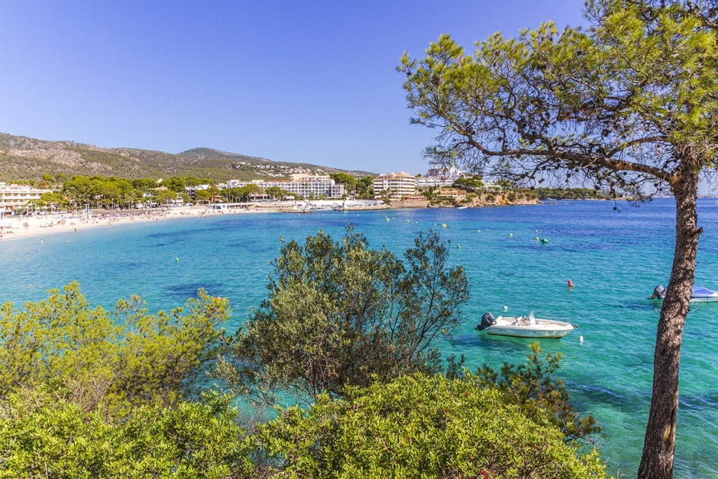 4 soveværelse Villa til salg i Torrenova med swimmingpool - € 1.550.000 (Ref: 8854533)