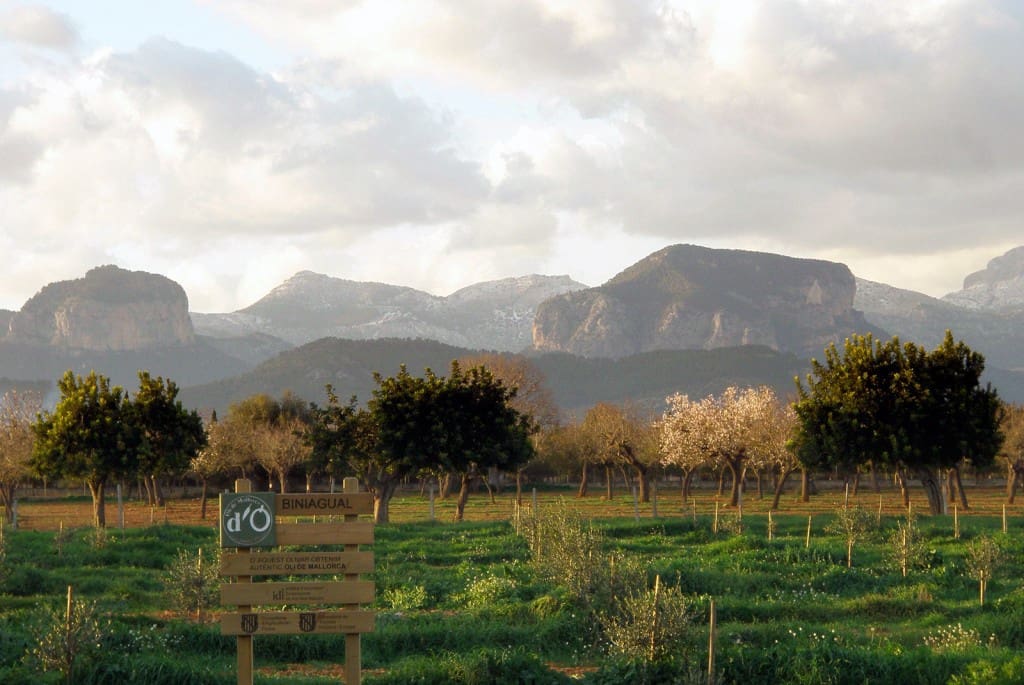 3 soveværelse Byhus til salg i Biniali med swimmingpool garage - € 617.000 (Ref: 8857089)