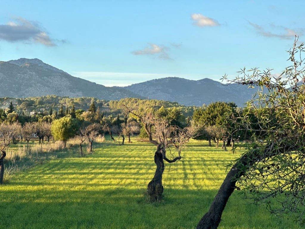 Byggetomt til salgs i Selva - € 590 000 (Ref: 8866888)