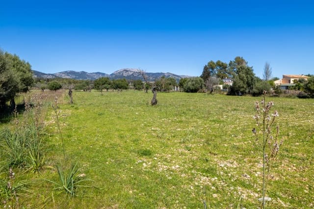 Bouwgrond te koop in Selva - € 590.000 (Ref: 8866888)