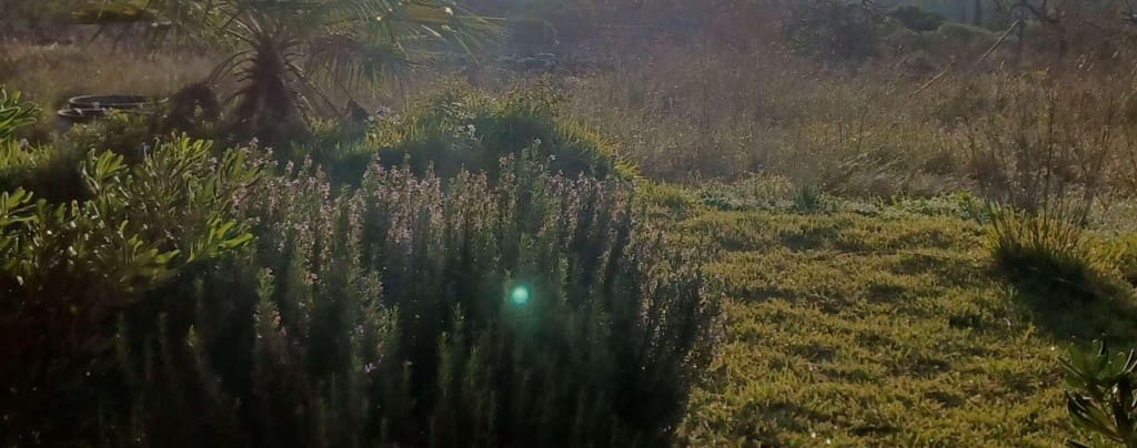 Byggegrund til salg i Santa Margalida - € 585.000 (Ref: 8907410)