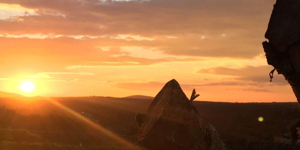 Byggegrund til salg i Santa Margalida - € 585.000 (Ref: 8907410)