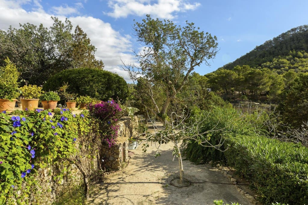 4 soveværelse Finca/Landehus til salg i San Jose / Sant Josep de Sa Talaia med swimmingpool garage - € 2.950.000 (Ref: 8928543)