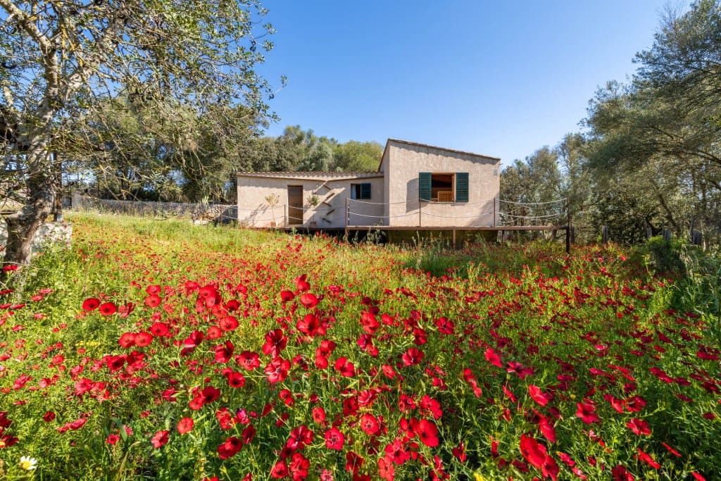 6 chambre Finca/Maison de Campagne à vendre à Sineu avec piscine - 2 500 000 € (Ref: 8934998)