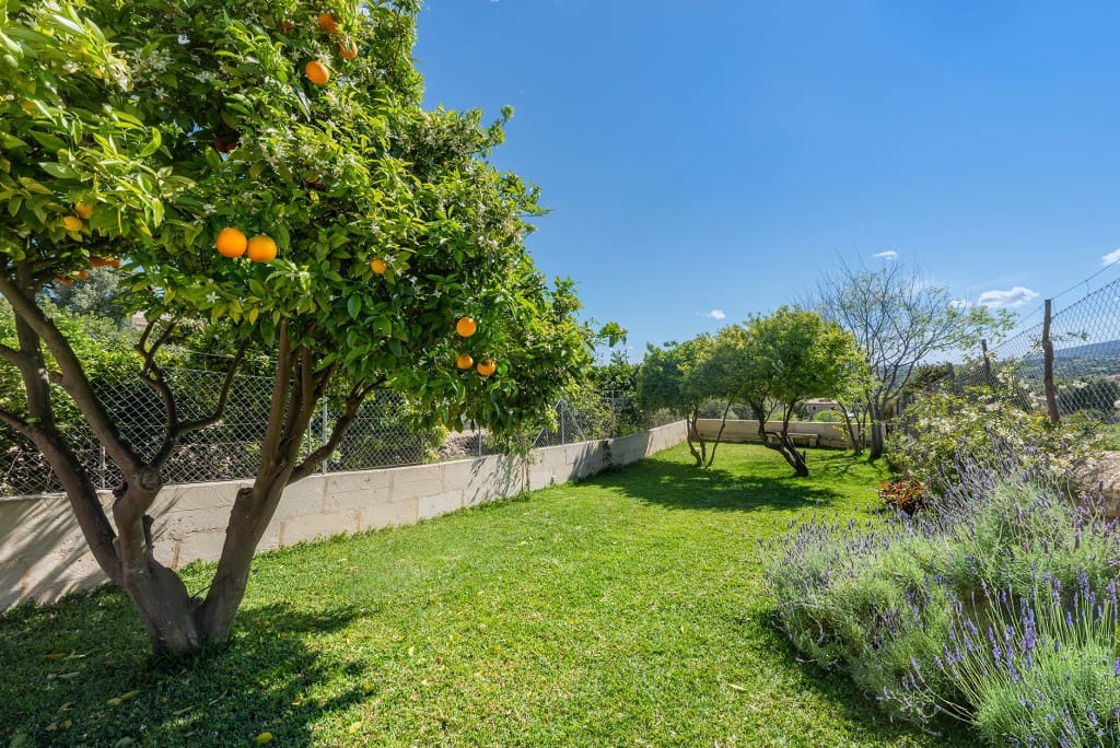 4 makuuhuone Omakotitalo myytävänä paikassa Campanet mukana uima-altaan - 1 950 000 € (Ref: 8943816)