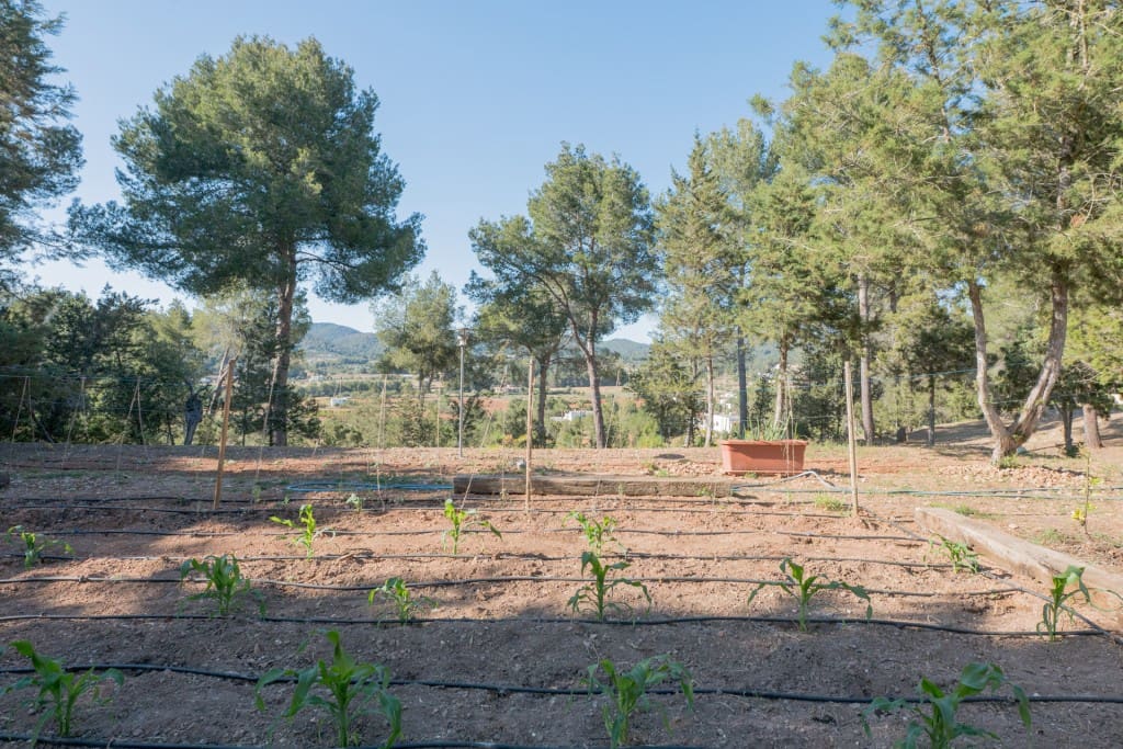 7 soverom Villa til salgs i Sant Antoni de Portmany med svømmebasseng - € 3 500 000 (Ref: 8988070)