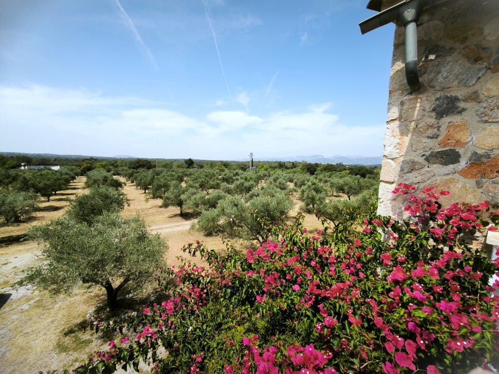 4 camera da letto Finca/Casa di Campagna in vendita in Llubi con piscina - 2.150.000 € (Rif: 9050851)