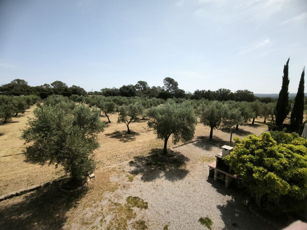 4 camera da letto Finca/Casa di Campagna in vendita in Llubi con piscina - 2.150.000 € (Rif: 9050851)