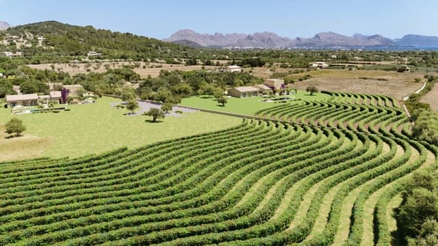 Bouwgrond te koop in Pollensa / Pollença - € 1.350.000 (Ref: 9074935)