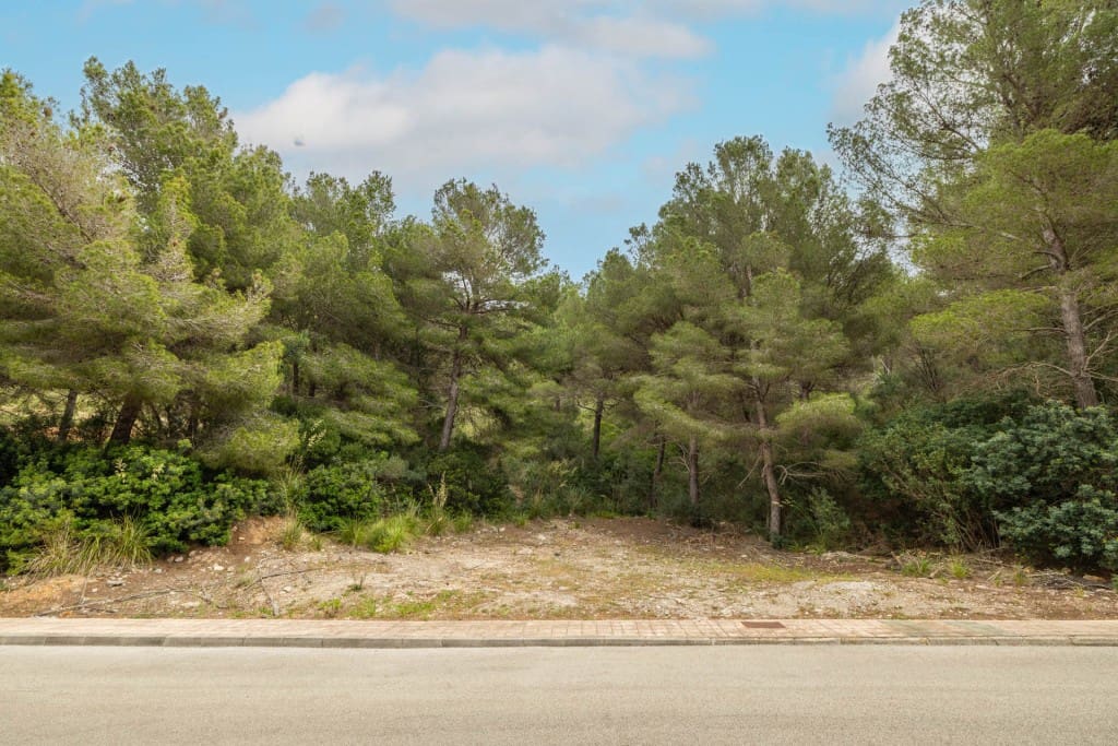 Byggegrund til salg i Canyamel - € 750.000 (Ref: 9136948)