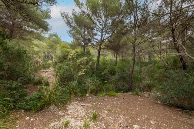 Byggegrund til salg i Canyamel, Capdepera - € 750.000 (Ref: 9136948)