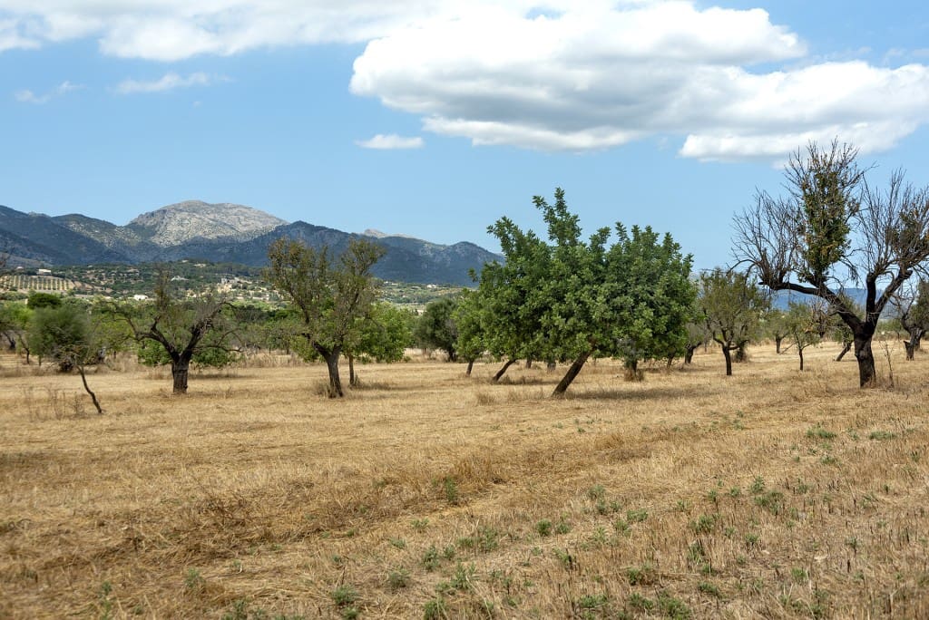 2 soverom Finca/Herregård til salgs i Selva med garasje - € 2 000 000 (Ref: 9146888)