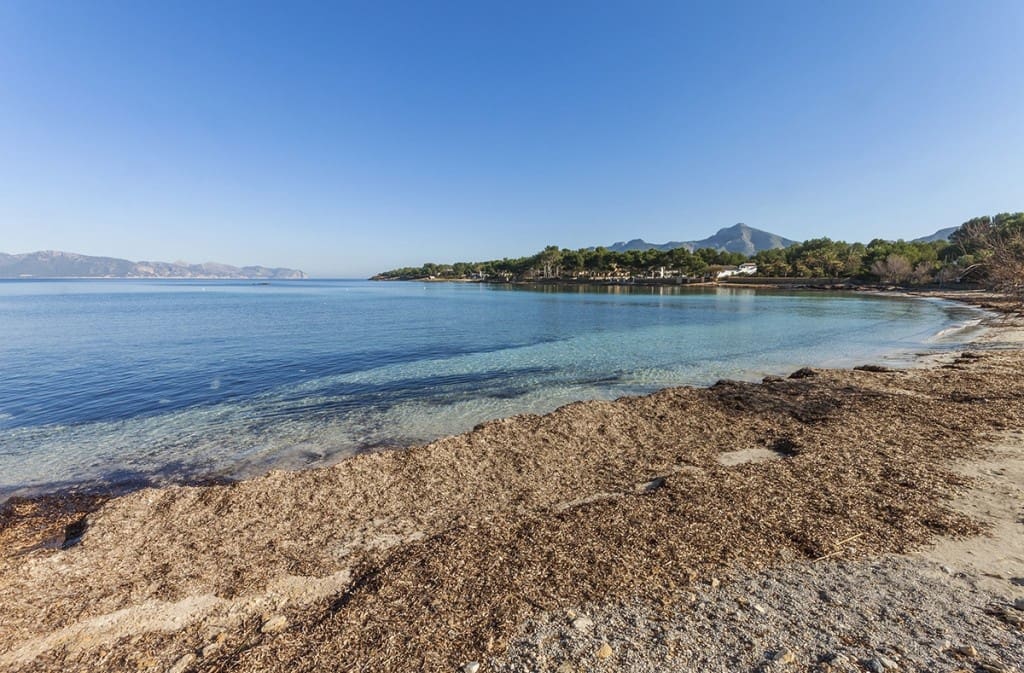 5 quarto Moradia para venda em Alcudia com piscina - 5 900 000 € (Ref: 9291211)