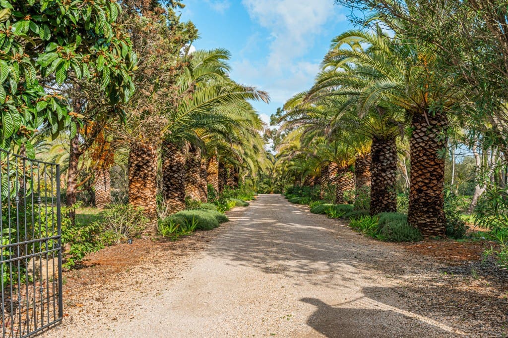 7 bedroom Finca/Country House for sale in Felanitx with pool garage - € 3,250,000 (Ref: 9470453)