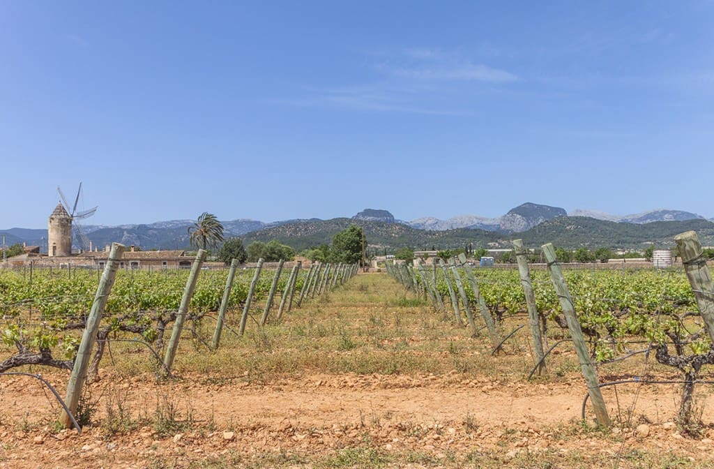 4 quarto Quinta/Casa Rural para venda em Binissalem com piscina - 1 700 000 € (Ref: 9473843)