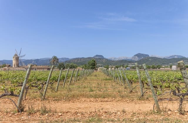 4 quarto Quinta/Casa Rural para venda em Binissalem com piscina - 1 700 000 € (Ref: 9473843)