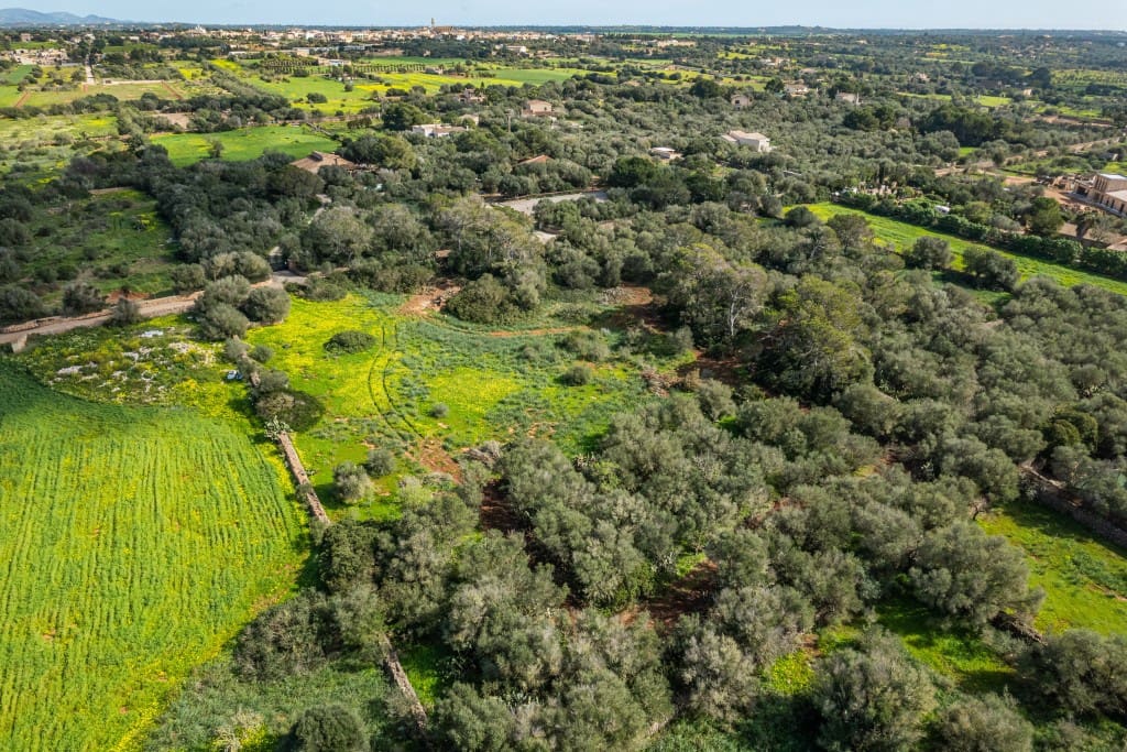 Tontti myytävänä paikassa Ses Salines - 850 000 € (Ref: 9614751)