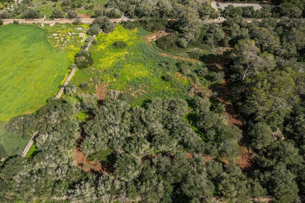 Tontti myytävänä paikassa Ses Salines - 850 000 € (Ref: 9614751)