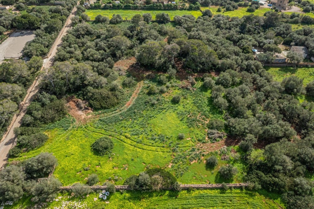 Tontti myytävänä paikassa Ses Salines - 850 000 € (Ref: 9614751)