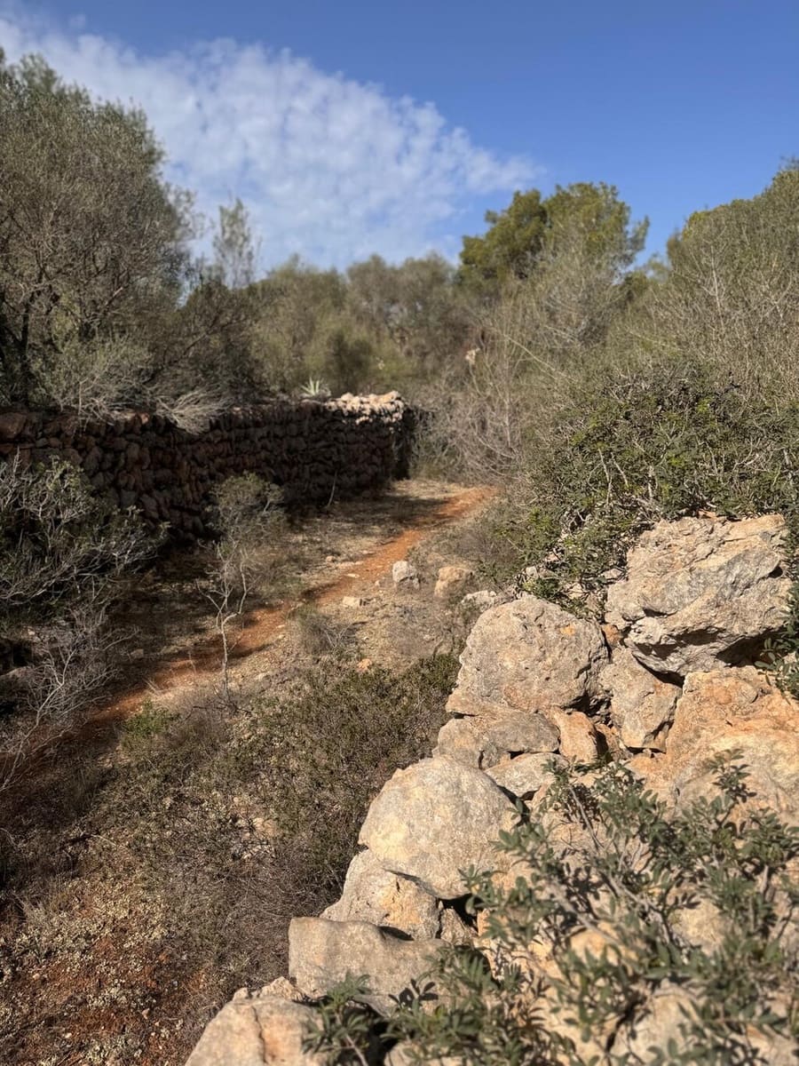 Building Plot for sale in Campos - € 3,755,000 (Ref: 9784502)