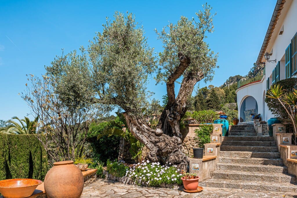 4 camera da letto Finca/Casa di Campagna in vendita in Deia con piscina - 5.800.000 € (Rif: 9790808)