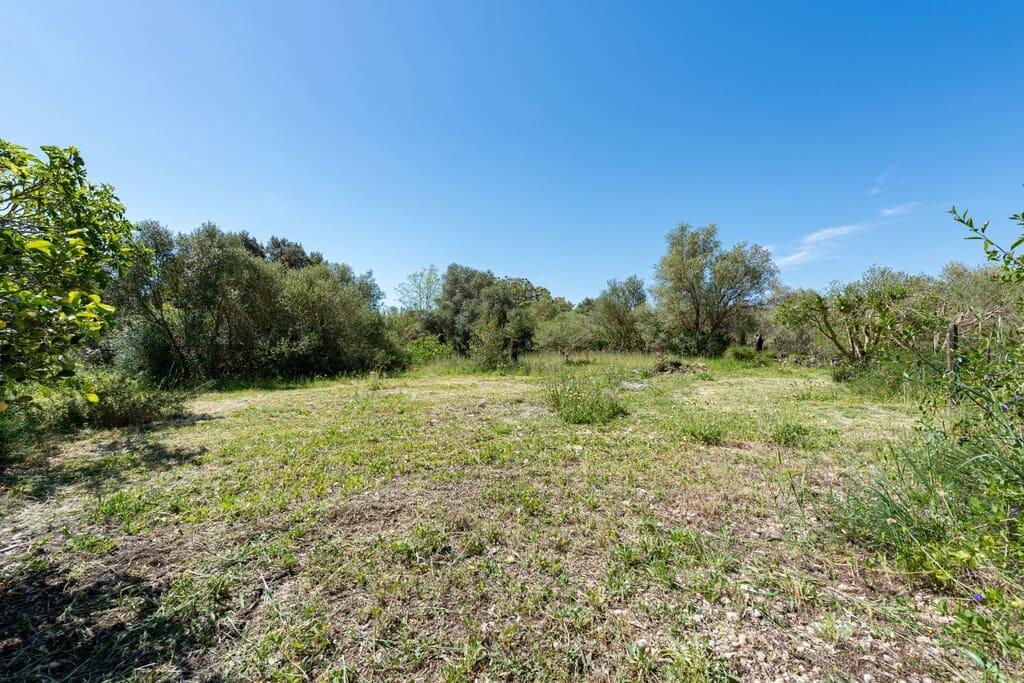 3 sovrum Finca/Hus på landet till salu i Buger med pool - 725 000 € (Ref: 9811369)