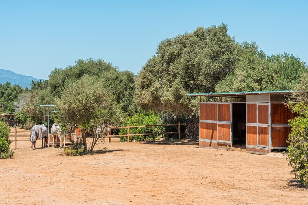 6 chambre Finca/Maison de Campagne à vendre à Sa Cabaneta / La Cabaneta avec piscine - 3 350 000 € (Ref: 9868381)