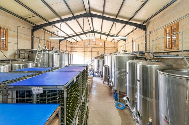 Bedrijf te koop in Santa Eugènia - € 2.350.000 (Ref: 9889935)