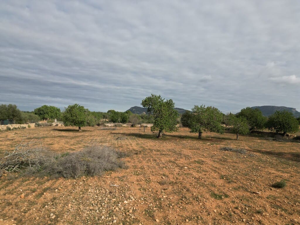 Terreno para Construção para venda em Llucmajor - 690 000 € (Ref: 9891846)