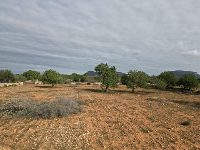 Terreno para Construção para venda em Llucmajor - 690 000 € (Ref: 9891846)