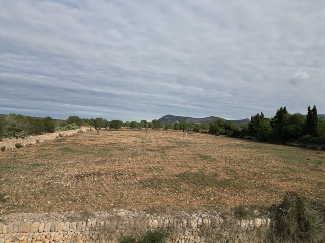 Terreno para Construção para venda em Llucmajor - 690 000 € (Ref: 9891846)