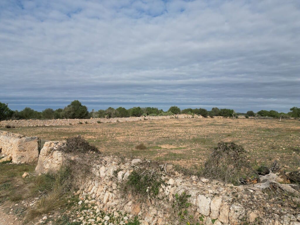 Terreno para Construção para venda em Llucmajor - 690 000 € (Ref: 9891846)